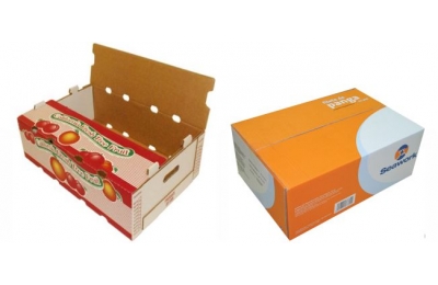 HỘP CARTON THÂN THIỆN VỚI MÔI TRƯỜNG