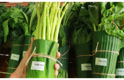 BAO BÌ XANH - XU HƯỚNG BẢO VỆ MÔI TRƯỜNG CỦA NGƯỜI TIÊU DÙNG HIỆN ĐẠI