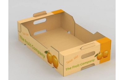 BẠN CÓ BIẾT TRÊN THỊ TRƯỜNG HIỆN NAY CÓ BAO NHIỀU LOẠI HỘP GIẤY CARTON?